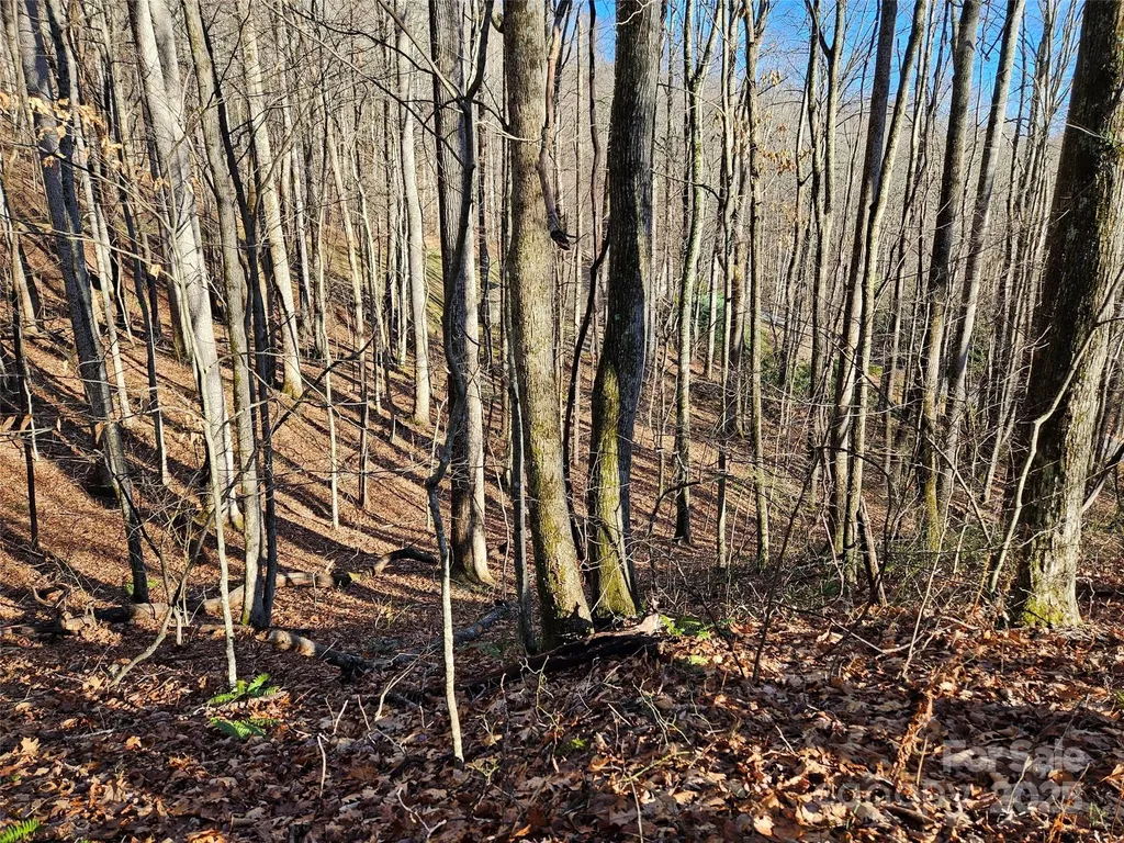 000 Serenity Drive Waynesville NC 28785