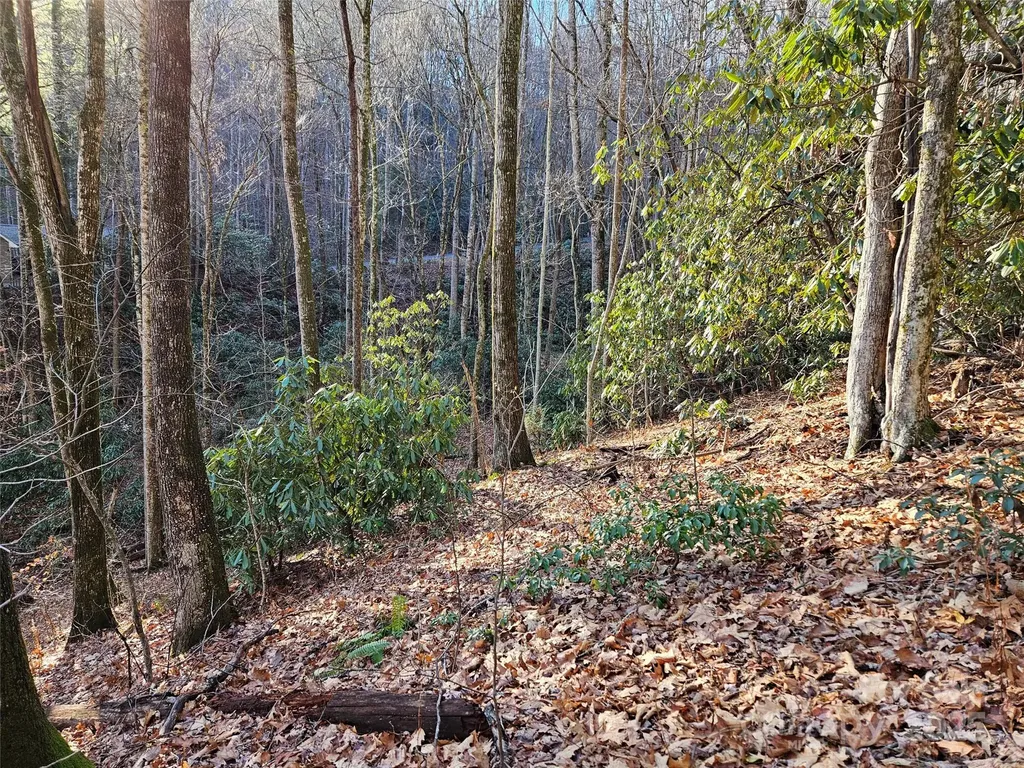 000 Serenity Drive Waynesville NC 28785