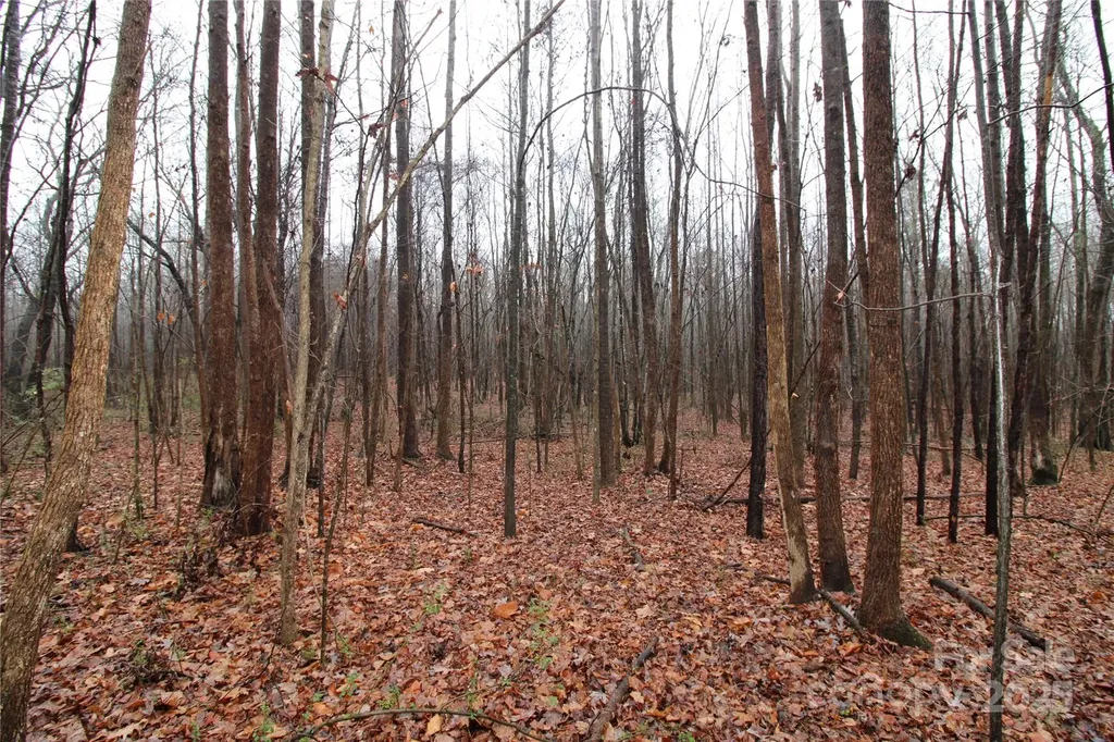 4.38+/-AC Eaker Road Bessemer City NC 28016