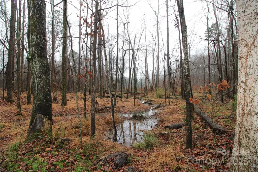 4.38+/-AC Eaker Road Bessemer City NC 28016