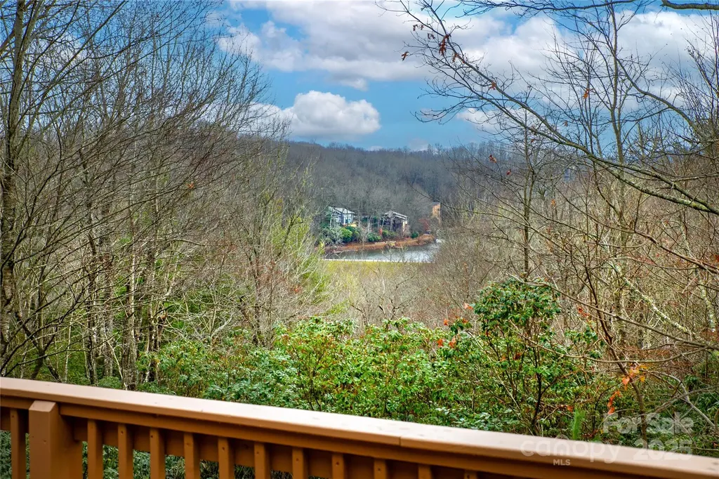 42 Tsitsi Court Brevard NC 28712