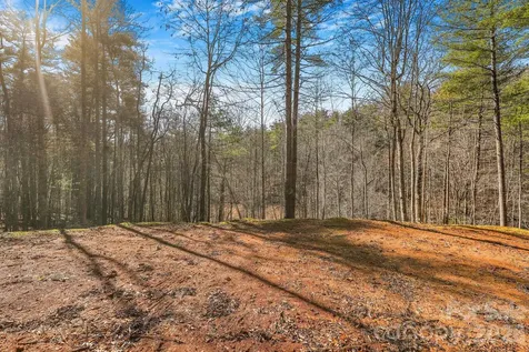 148 Fish Pond Lane Burnsville NC 28714
