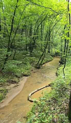 0 Frog Creek Road Union Mills NC 28167