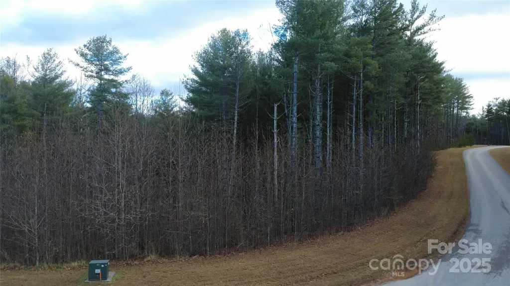 597 Peninsula Reserve Road Nebo NC 28761