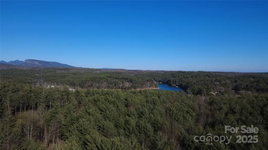 597 Peninsula Reserve Road Nebo NC 28761