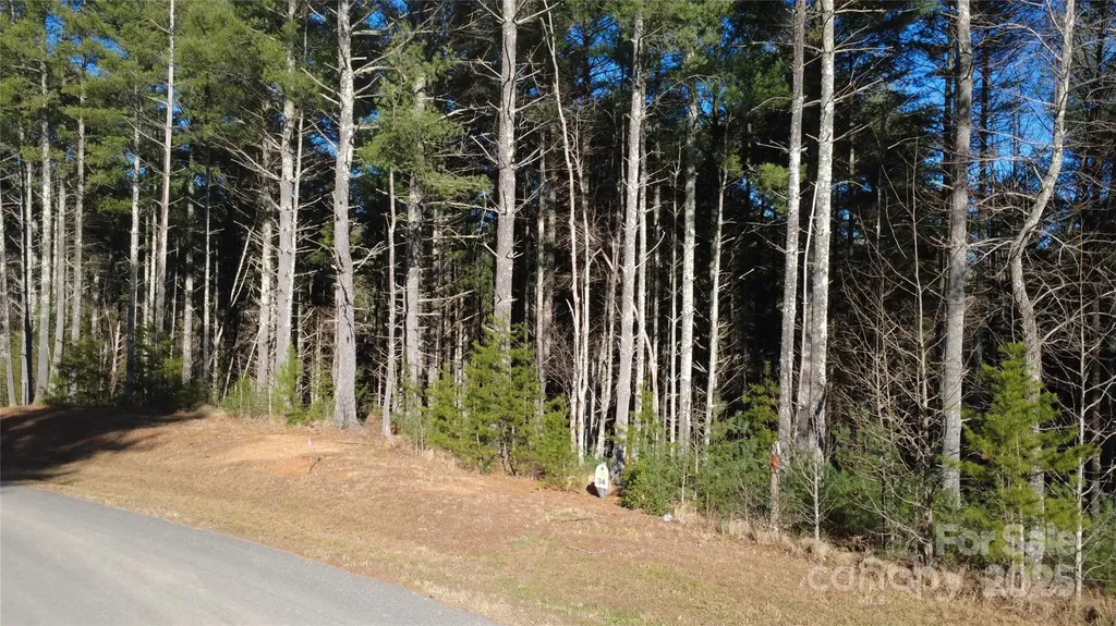597 Peninsula Reserve Road Nebo NC 28761