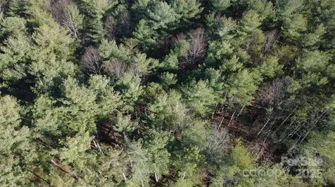 597 Peninsula Reserve Road Nebo NC 28761