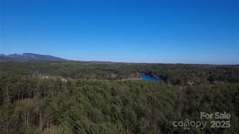 597 Peninsula Reserve Road Nebo NC 28761