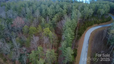 597 Peninsula Reserve Road Nebo NC 28761