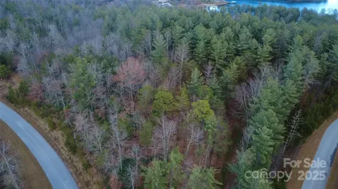 597 Peninsula Reserve Road Nebo NC 28761