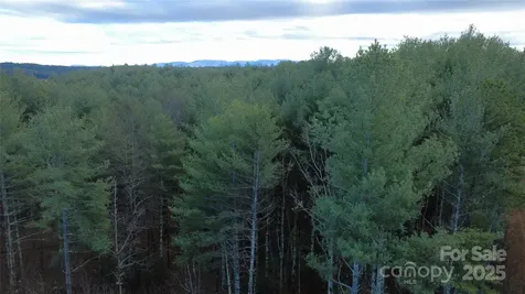 597 Peninsula Reserve Road Nebo NC 28761