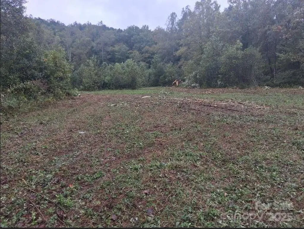 Tbd 2 Morgan Lake Road Marion NC 28752