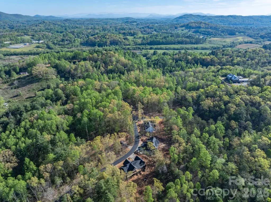 20 Nature Walk Lane Hendersonville NC 28739