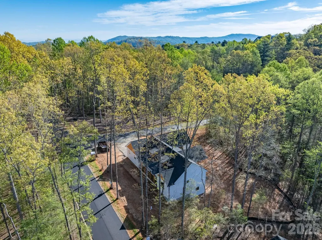 20 Nature Walk Lane Hendersonville NC 28739