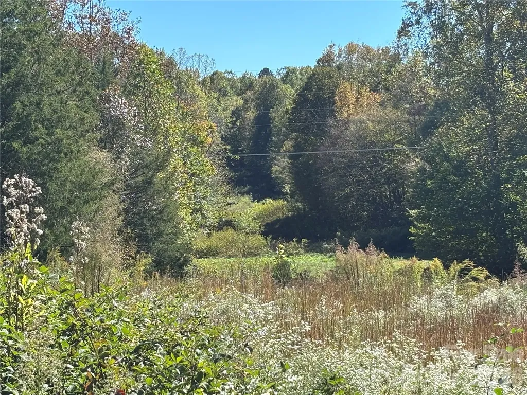 111 Sheep Path Drive Mooresville NC 28115
