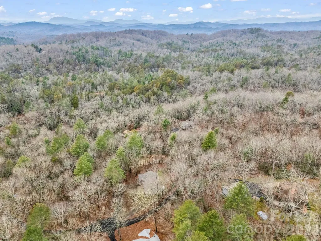 38 Renea Drive Brevard NC 28712