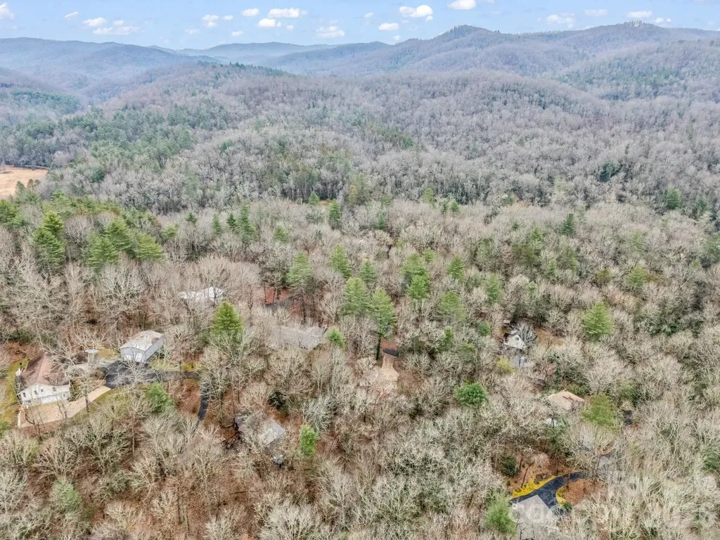 38 Renea Drive Brevard NC 28712