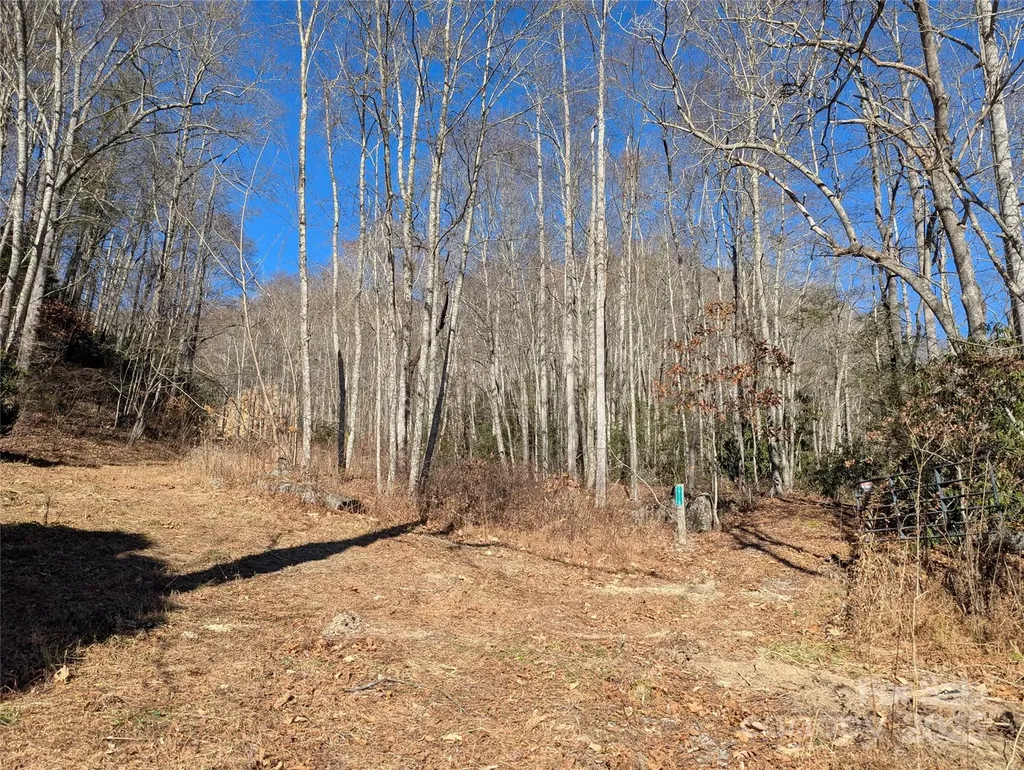 2726 Lower Flat Creek Road Black Mountain NC 28711