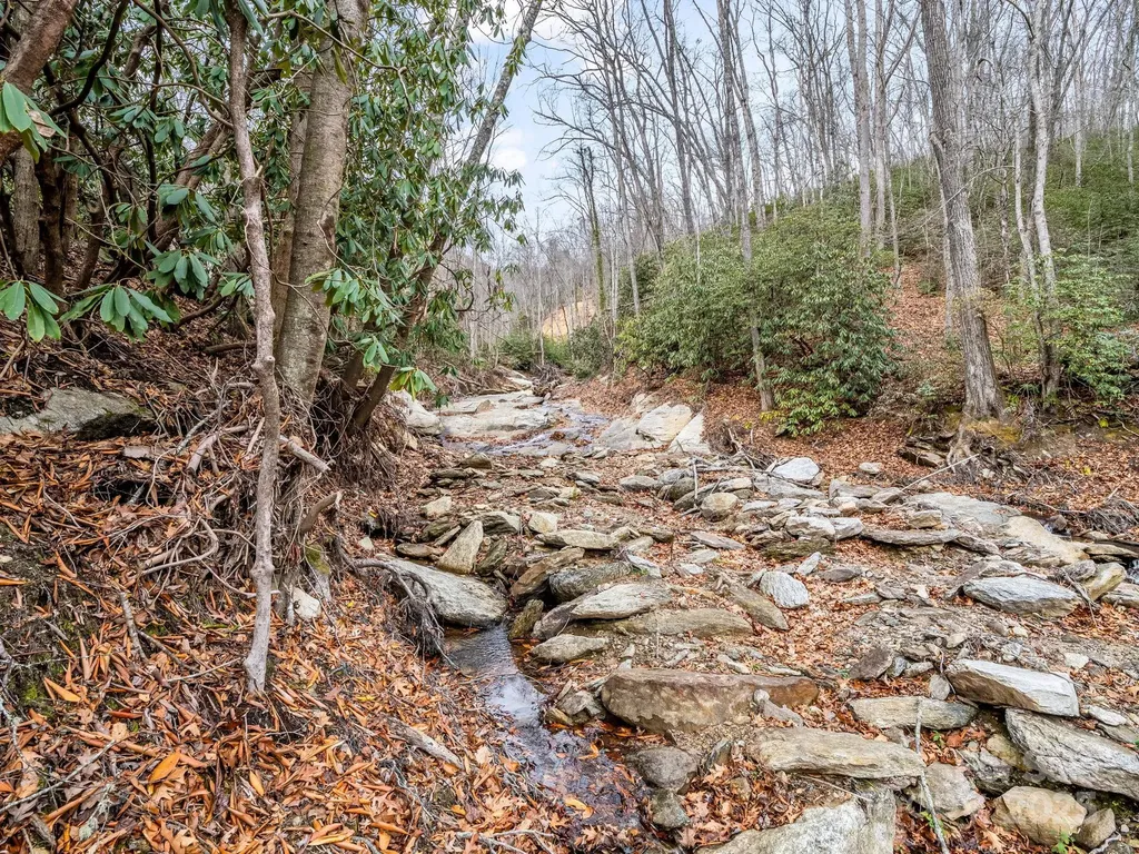 2726 Lower Flat Creek Road Black Mountain NC 28711