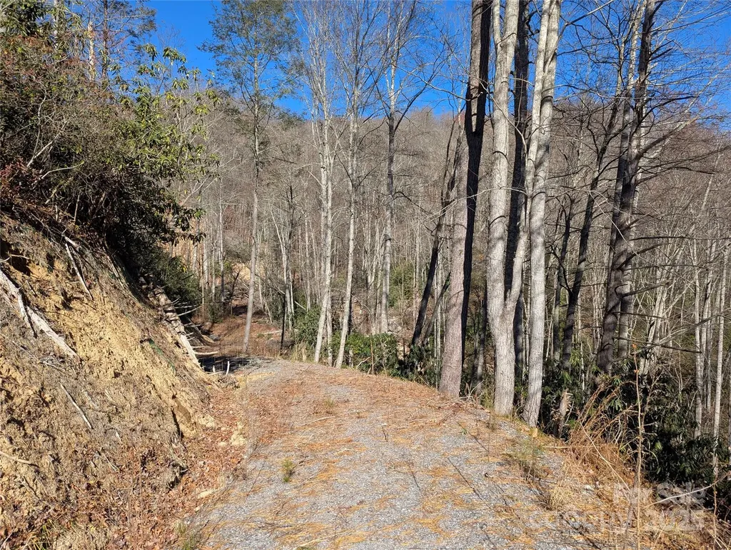 2726 Lower Flat Creek Road Black Mountain NC 28711