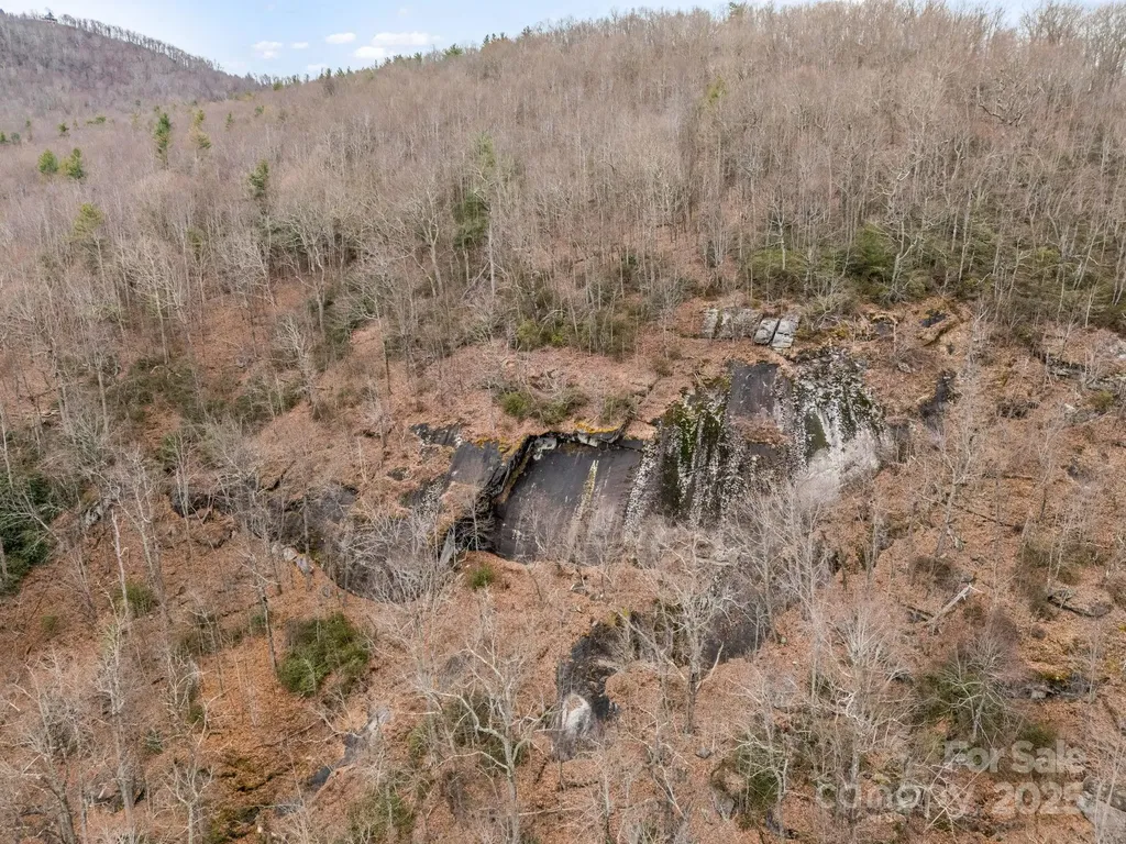 2726 Lower Flat Creek Road Black Mountain NC 28711