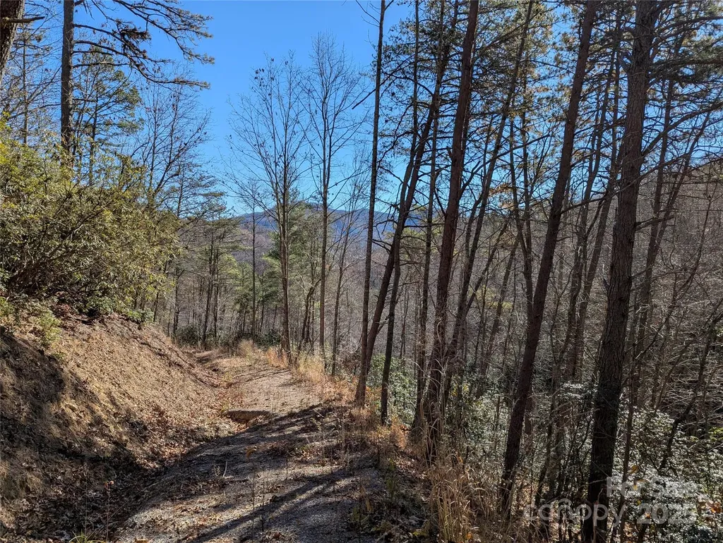 2726 Lower Flat Creek Road Black Mountain NC 28711