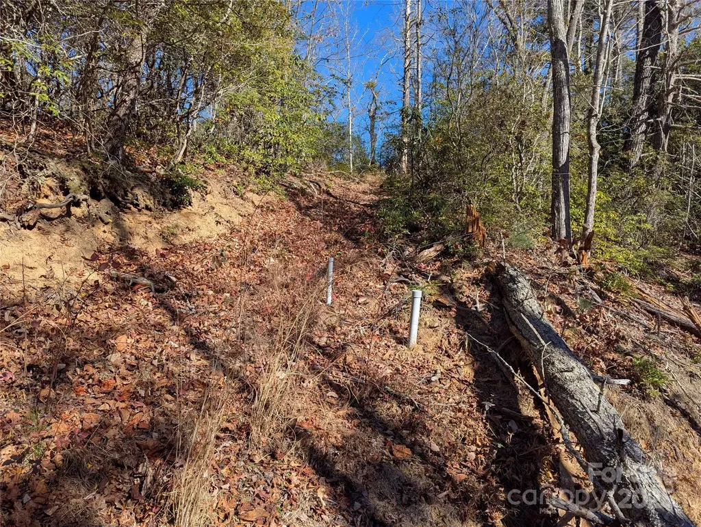 2726 Lower Flat Creek Road Black Mountain NC 28711