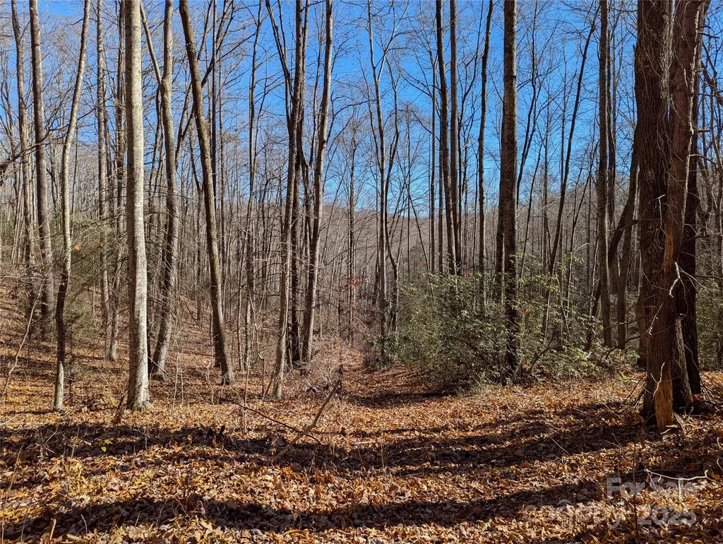 2726 Lower Flat Creek Road Black Mountain NC 28711