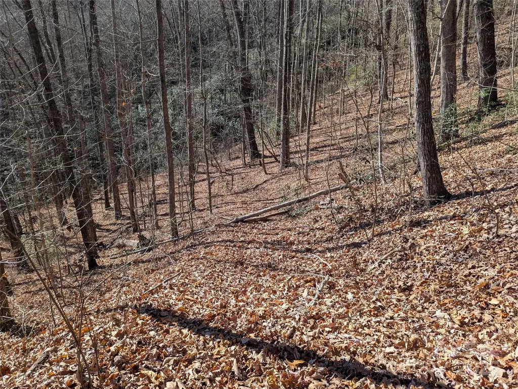 2726 Lower Flat Creek Road Black Mountain NC 28711