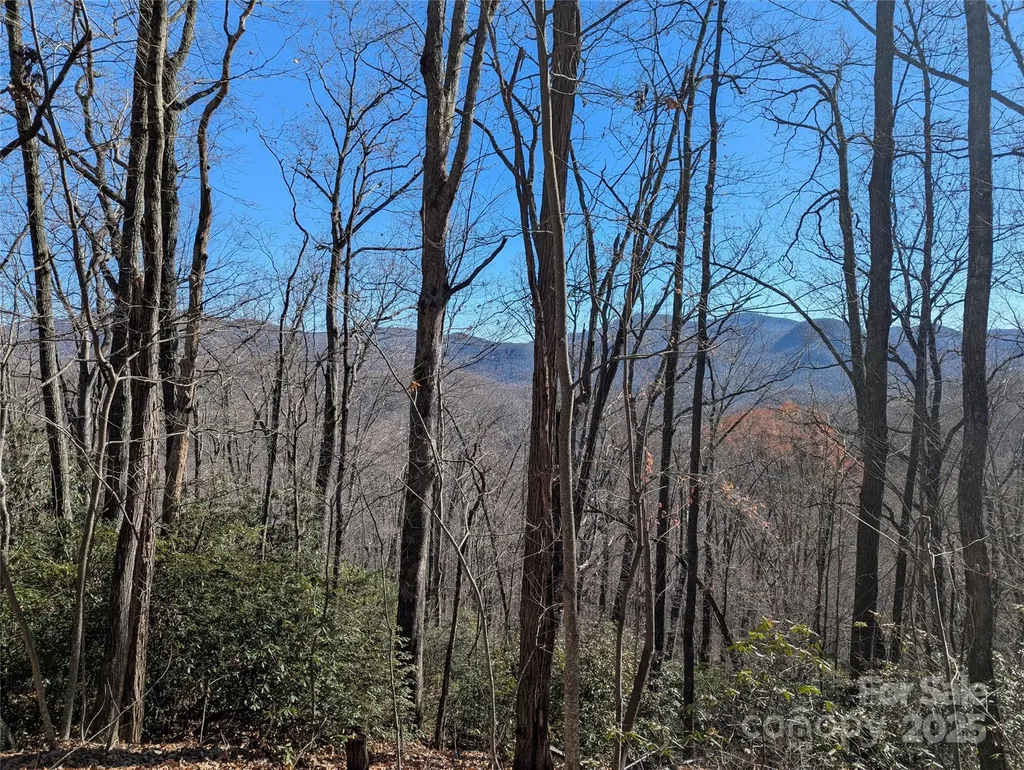 2726 Lower Flat Creek Road Black Mountain NC 28711