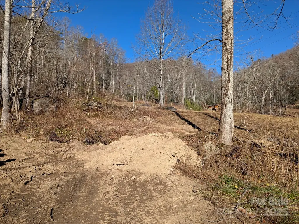 2726 Lower Flat Creek Road Black Mountain NC 28711