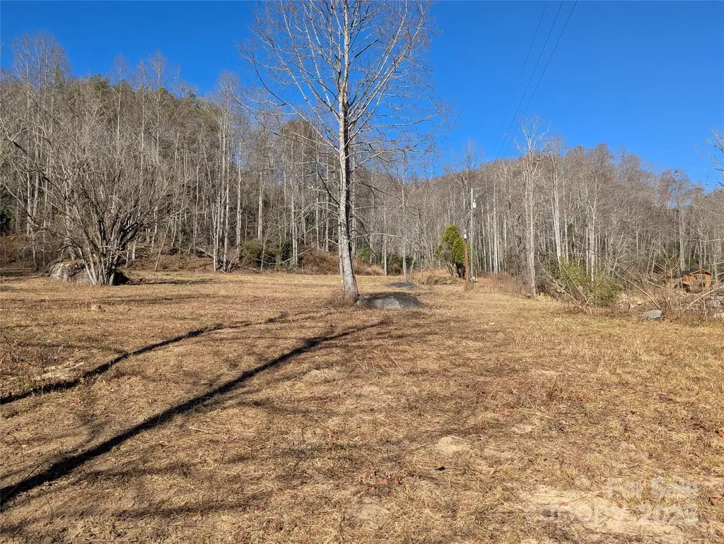 2726 Lower Flat Creek Road Black Mountain NC 28711