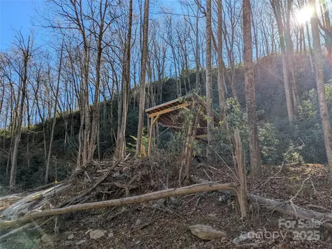2726 Lower Flat Creek Road Black Mountain NC 28711