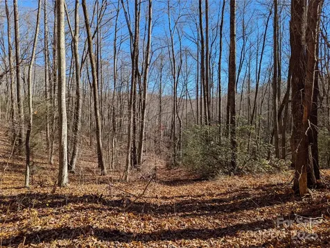 2726 Lower Flat Creek Road Black Mountain NC 28711