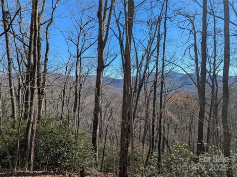 2726 Lower Flat Creek Road Black Mountain NC 28711