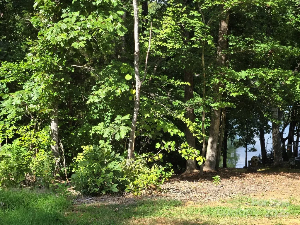0 Shoreline Road Badin Lake NC 28127
