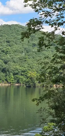 0 Shoreline Road Badin Lake NC 28127