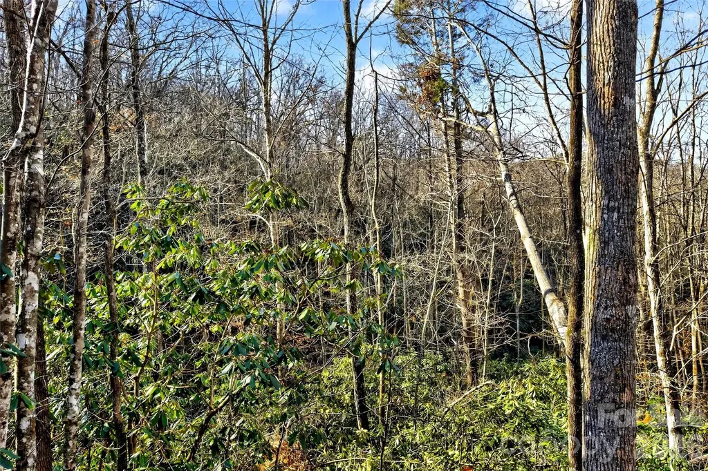 172 Crimson Drive Old Fort NC 28762