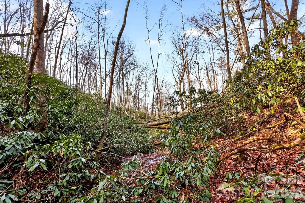172 Crimson Drive Old Fort NC 28762