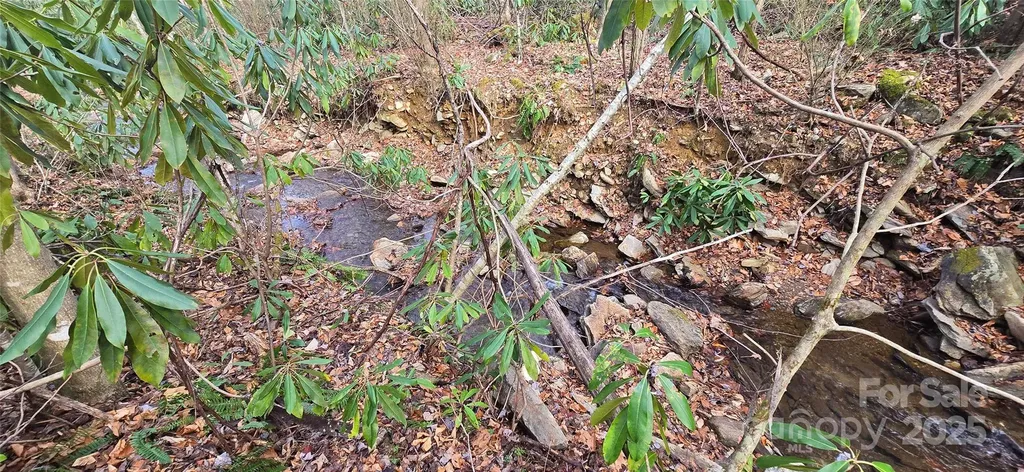 Lot 20 Twinbrook Lane Maggie Valley NC 28751