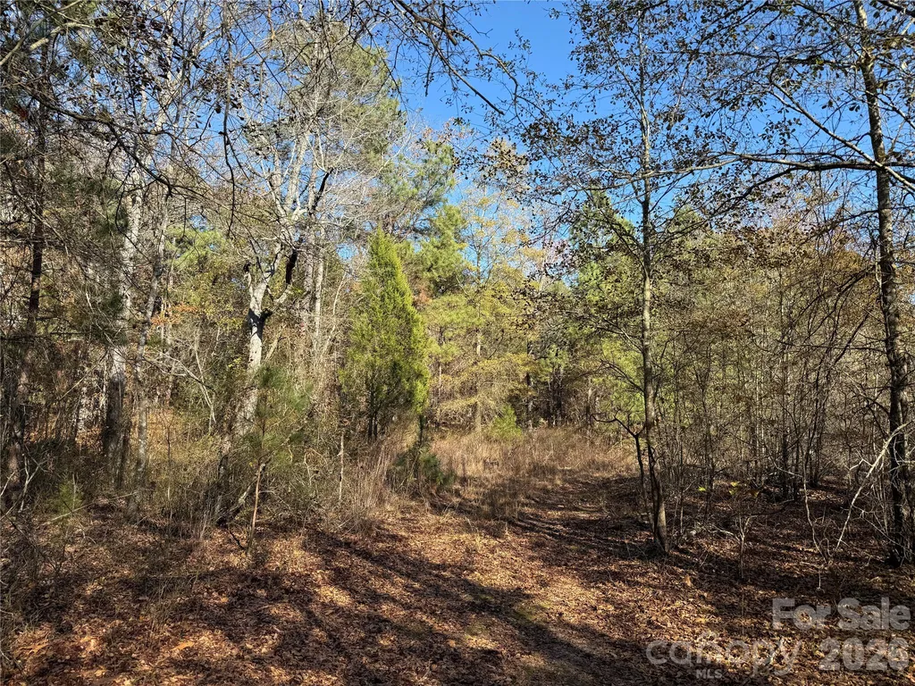164 Haines Road Jackson Springs NC 27281