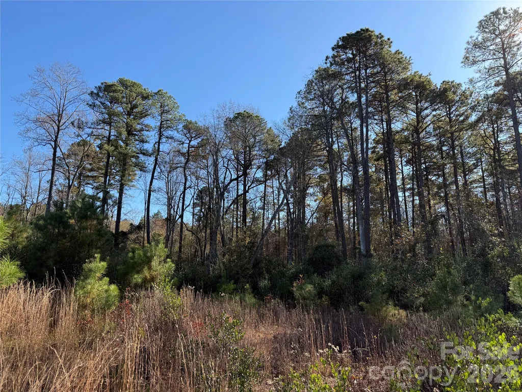 164 Haines Road Jackson Springs NC 27281