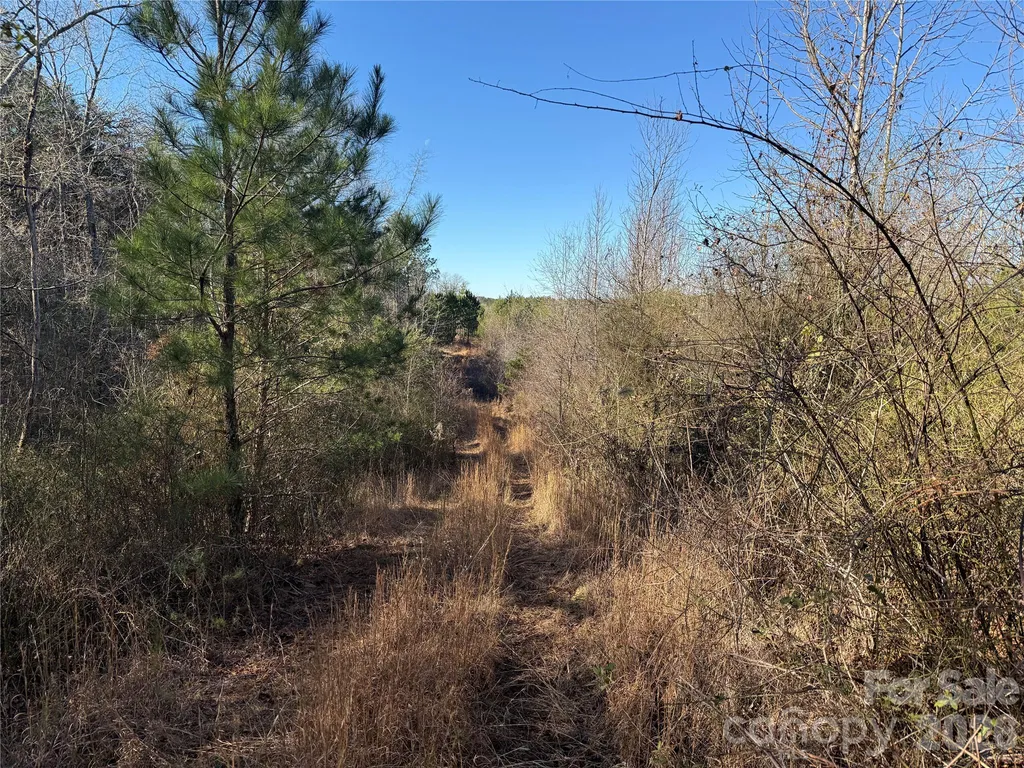 164 Haines Road Jackson Springs NC 27281
