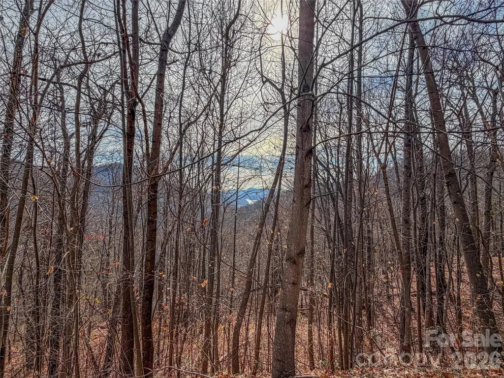 Lot 375 Rolling Ridge Trail Lake Lure NC 28746