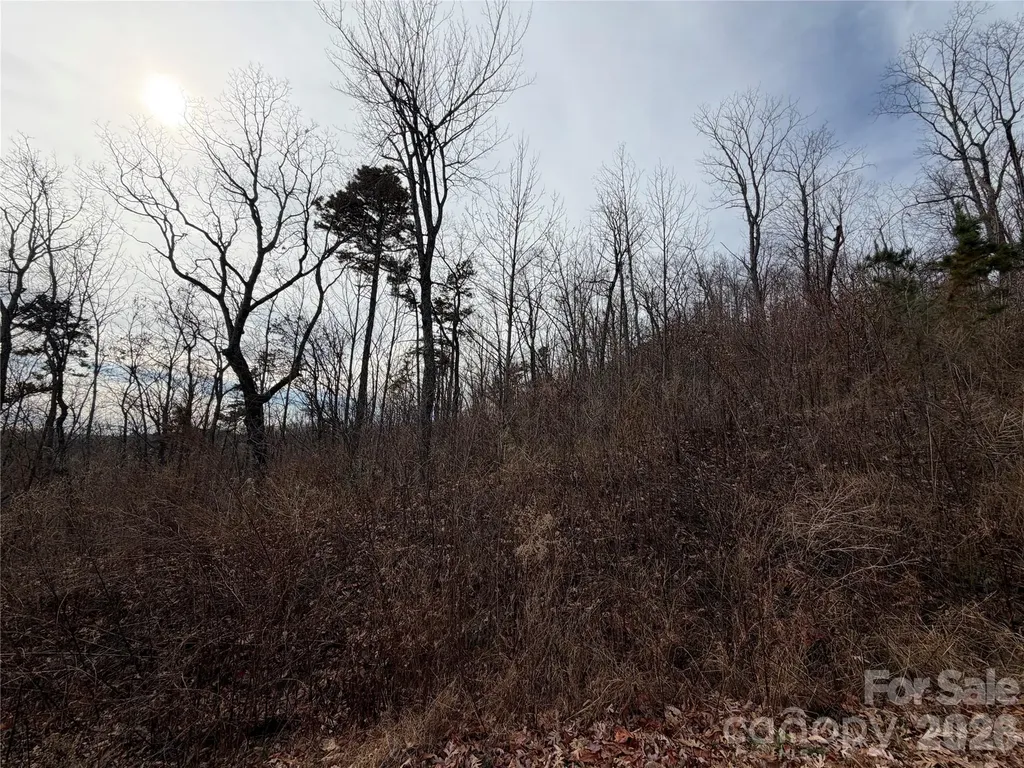 Lot 375 Rolling Ridge Trail Lake Lure NC 28746