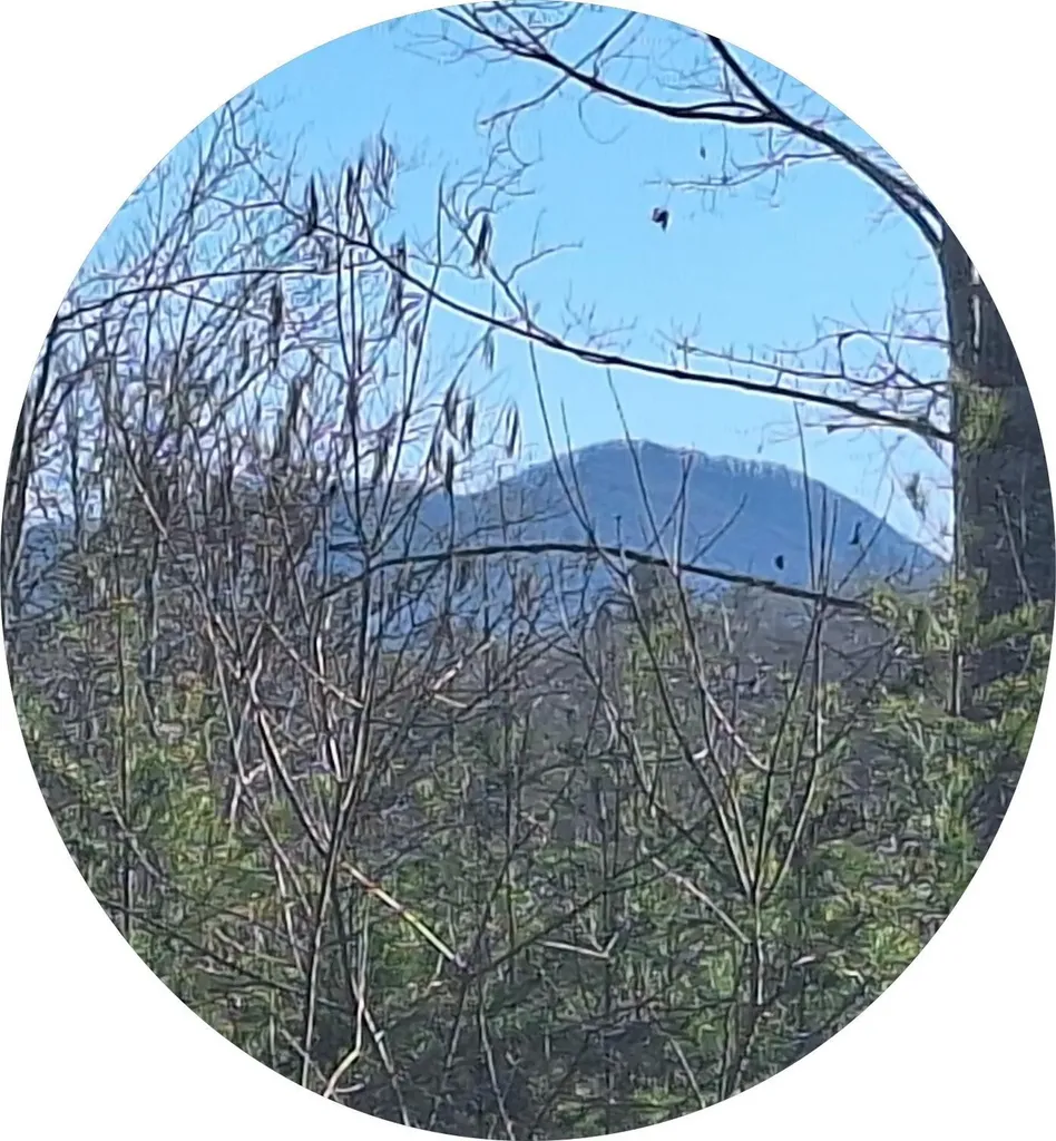 4204 Bennett Road Morganton NC 28655