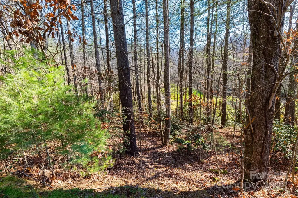 139 Chattooga Run Hendersonville NC 28739