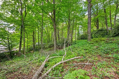 140 Pine View Road Newland NC 28657