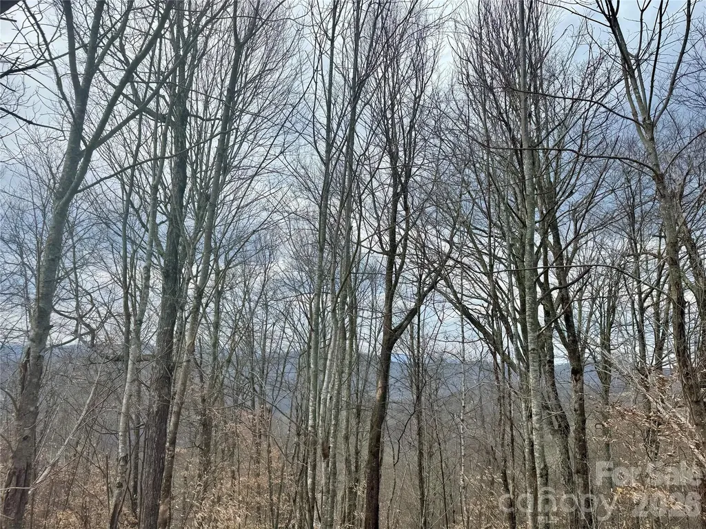 50 Scenic Wolf Ridge Road Mars Hill NC 28754