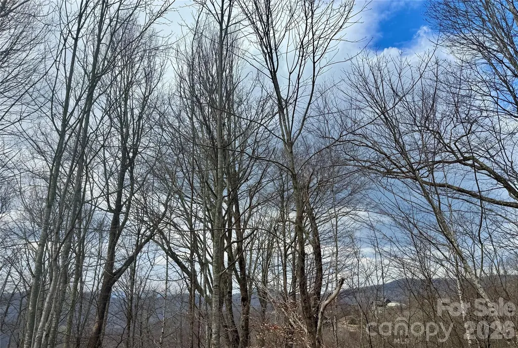 50 Scenic Wolf Ridge Road Mars Hill NC 28754